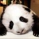 Eyeofthebeholder's picture