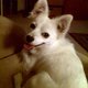 lola102's picture