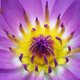 CorinneRunsTings's picture