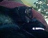 Snuggle buddies