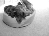 Gretta