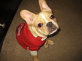 Jack 