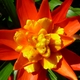 hswany19's picture