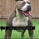DaisyDaisy's picture