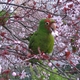 bejeweled's picture