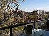 pretty view! and lots of green space for the puppies!