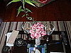 this is whats on the coffee table...and Rose's my boyfriend bought me!