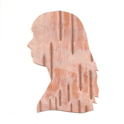 Guess What This Silhouette Is Made From?