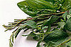 Start a Kitchen Window Herb Garden