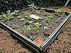 Spiffying the Garden