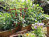 More Garden Spiffiness