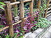 Gardens Galore