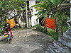 Saffron Robes Like Marigolds