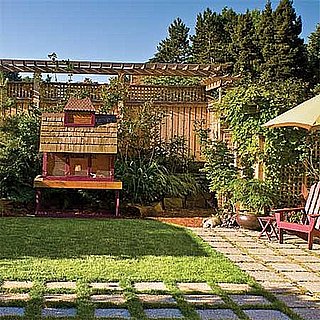 Garden Therapy: Little Farm in the Big City