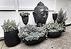 Keep Floral Arrangements and Plants Low Maintenance