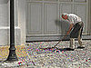Sweep and Vacuum