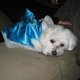 katchow's picture