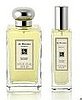 Buy a Floral Perfume 