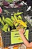 Apple Bananas