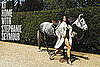 Model Muse: Stephanie Seymour
