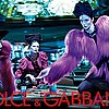 Fab Ad: Dolce and Gabbana Women's Fall '09