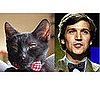 Mr. Cornelius Bouvier and Tucker Carlson
