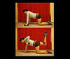 <a href="http://www.fitsugar.com/1010058">Knee Lift With Reverse Row</a>