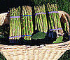 Asparagus