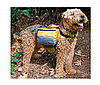 REI Adventure Dog Pack