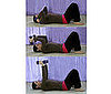 <a href="http://www.fitsugar.com/1065277">Tricep Presses on Your Back</a>