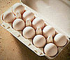 Travels Well: Hard Boiled Egg and Toast