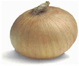 Beginner Onion Dip