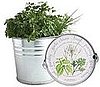 Herb Garden 
