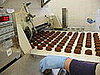 The Making of a Chocolate Egg