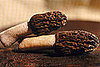 Morels