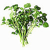 Watercress