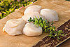 Scallops