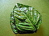 Stack several leaves neatly on top of one another.