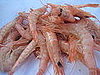 Langostinos