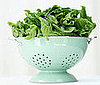 Romaine Lettuce