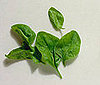 Spinach