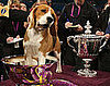 2008 Best in Show!