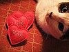 Conversation Hearts For Cats