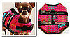 Juicy Live to Surf and Shop Dog Life Vest  