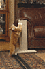 CatAround Corner Saver