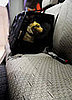 Even Smaller Dogs Enjoy Car QT