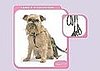 Spare Harness and Leash