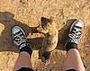 9. Stepped On