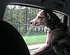 10. Injured in Car Accident
