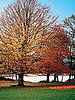 Inspired by the Seasons